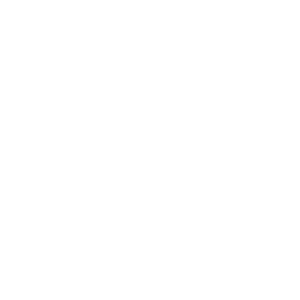 beyond the book